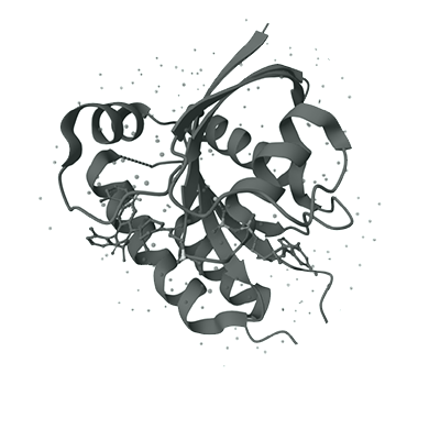 From Mutation to Metastasis: Preclinical Assay Platform for KRAS G12C Targeted Therapy